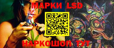 молекула духа Будённовск