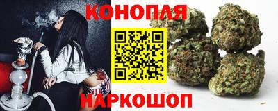 молекула духа Будённовск