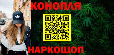 молекула духа Будённовск