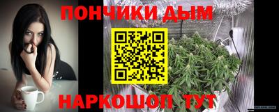 молекула духа Будённовск