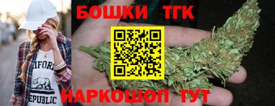 молекула духа Будённовск