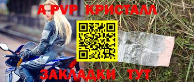 молекула духа Будённовск